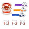 Adult Stage One Teeth Alignment Trainer